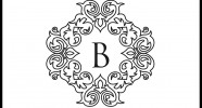 bvv