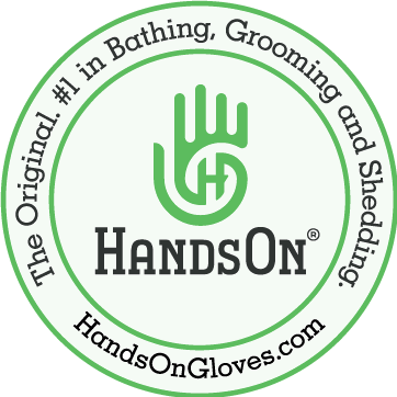 HandsOn Gloves