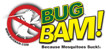 Bug Bam!
