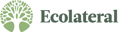Ecolateral Eco Stores