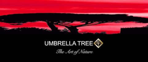 Umbrella Tree Shop coupon