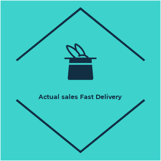 Actual sales Fast Delivery