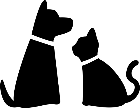 a-pet-top