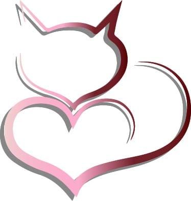 accessoirs pour chats