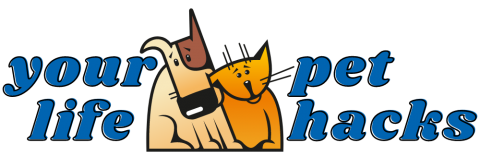 Your Pet Life Hacks