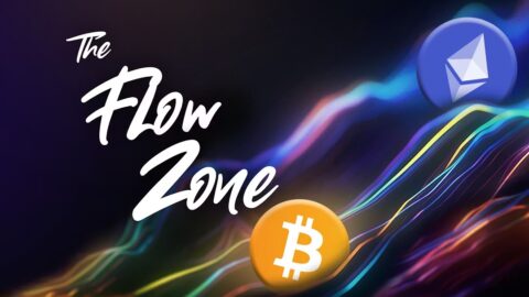 The Flow Zone coupon