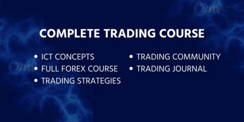 Pipstak Trading Educators