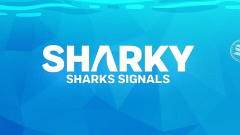 Sharks Signals